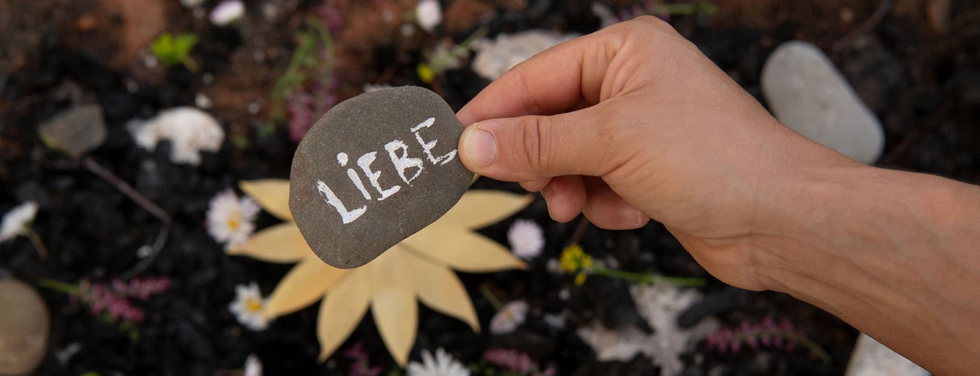 Intensivtag in der Eifel