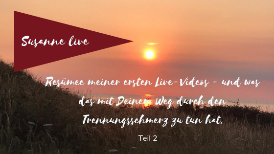 Resümee meiner ersten Live-Videos Teil 2