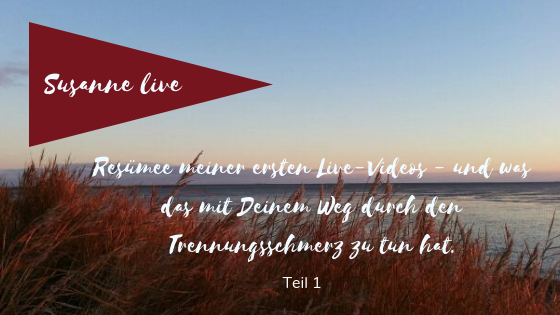 Resümee meiner ersten Live-Videos